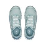 On Cloudmonster Iceberg Brook Shoes