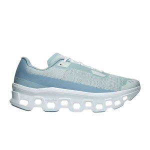 On Cloudmonster Iceberg Brook Shoes