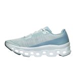 On Cloudmonster Iceberg Brook Shoes