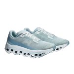 On Cloudmonster Iceberg Brook Shoes
